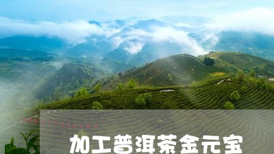 加工普洱茶金元宝/2023101665048