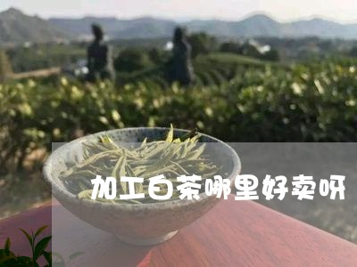 加工白茶哪里好卖呀/2023081235836