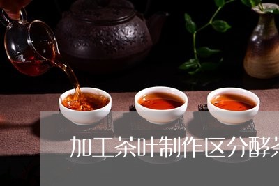 加工茶叶制作区分酵茶/2023061191412