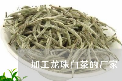 加工龙珠白茶的厂家/2023121780648