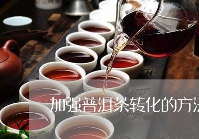 加强普洱茶转化的方法/2023080275037