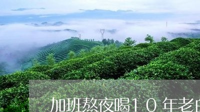 加班熬夜喝10年老白茶/2023080123816