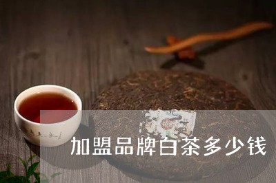 加盟品牌白茶多少钱/2023121708260