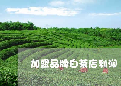 加盟品牌白茶店利润/2023121764037