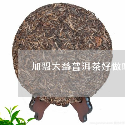 加盟大益普洱茶好做吗/2023092544158