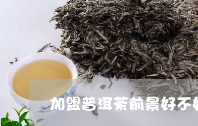 加盟普洱茶前景好不好/2023061309613