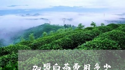 加盟白茶费用多少/2023061566359