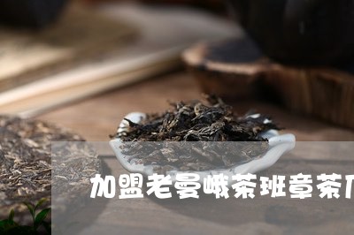 加盟老曼峨茶班章茶厂/2023092244156