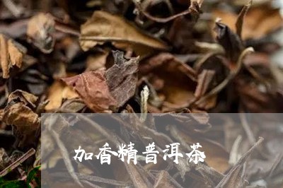 加香精普洱茶/2023042644185