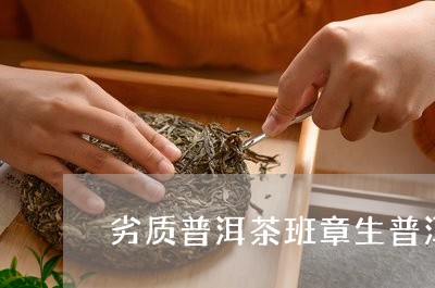 劣质普洱茶班章生普洱茶价格/2023052764837