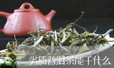 劣质普洱茶能干什么/2023120536473