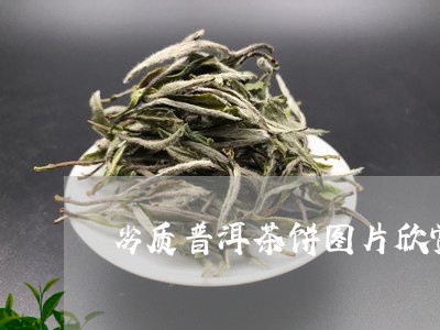 劣质普洱茶饼图片欣赏/2023120728261