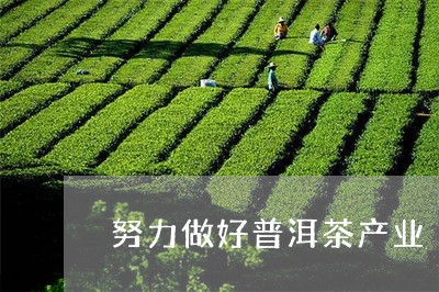 努力做好普洱茶产业/2023120430572