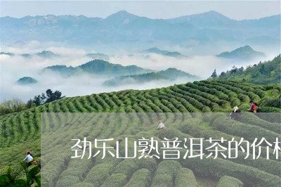 劲乐山熟普洱茶的价格/2023062245058