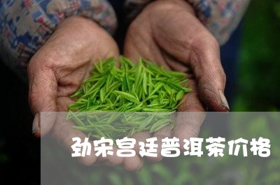 劲宋宫廷普洱茶价格/2023100626057