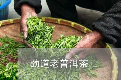 劲道老普洱茶/2023081871937