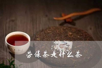 劳保茶是什么茶/2023042905750