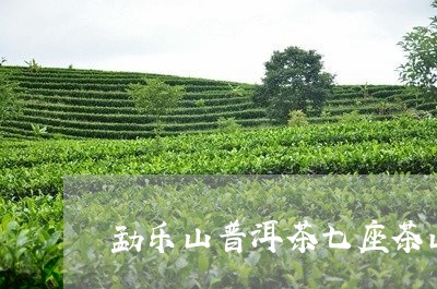 勐乐山普洱茶七座茶山/2023093042027