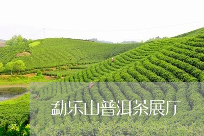 勐乐山普洱茶展厅/2023120434046