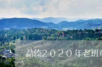 勐傣2020年老班章/2023092450795