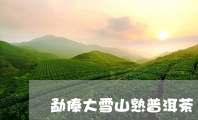 勐傣大雪山熟普洱茶/2023120446089