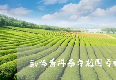 勐傣普洱茶与龙园号哪个好/2023081592826