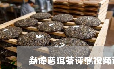 勐傣普洱茶评测视频讲解/2023081629592