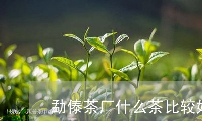 勐傣茶厂什么茶比较好/2023060998060