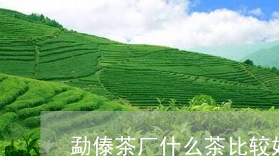 勐傣茶厂什么茶比较好/2023071504914