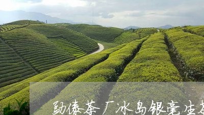 勐傣茶厂冰岛银毫生茶/2023061227171