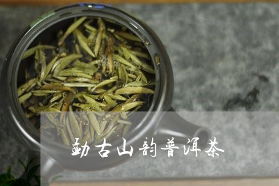 勐古山韵普洱茶/2023102635938