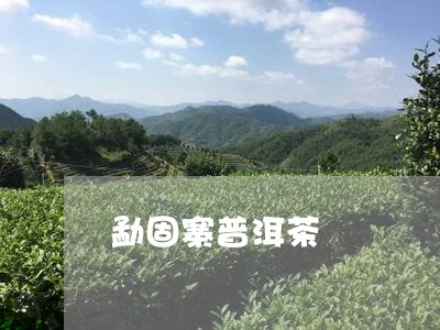 勐固寨普洱茶/2023081860391