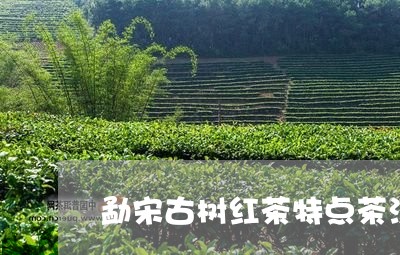 勐宋古树红茶特点茶汤/2023061077140