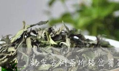 勐宋古树茶价格岔箐茶/2023071610586