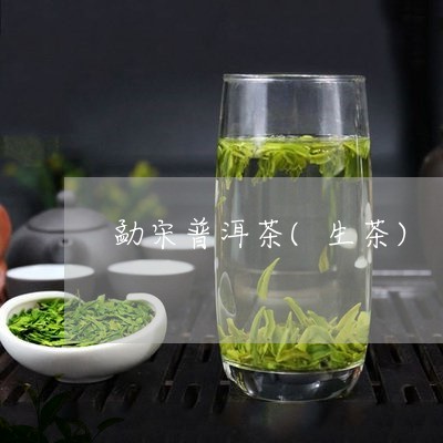 勐宋普洱茶(生茶)/2023070903046