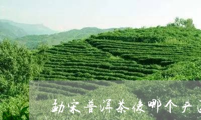 勐宋普洱茶像哪个产区的/2023102474242