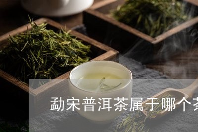 勐宋普洱茶属于哪个茶区产的/2023081554936