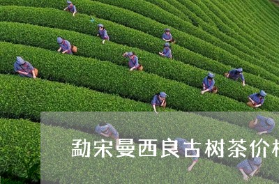 勐宋曼西良古树茶价格/2023061018159