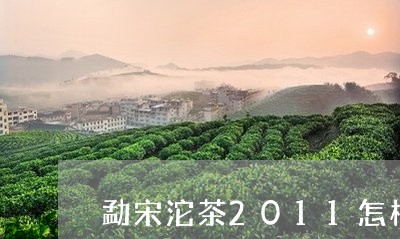 勐宋沱茶2011怎样/2023092230514