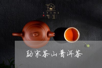 勐宋茶山普洱茶/2023121529582