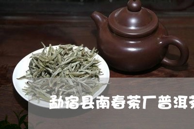 勐宿县南春茶厂普洱茶/2023062144046