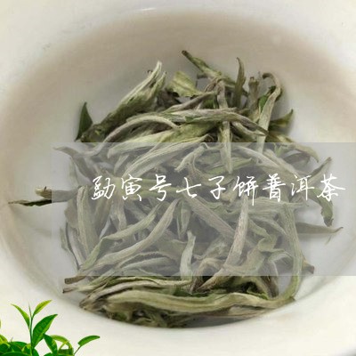 勐寅号七子饼普洱茶/2023110946482