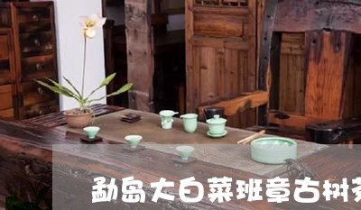 勐岛大白菜班章古树茶/2023061170494