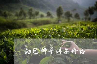 勐巴娜普洱茶价格/2023082892919