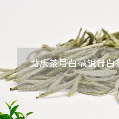 勐庆茶号白毫银针白茶50g/2023111547260