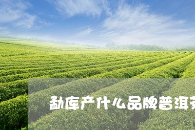 勐库产什么品牌普洱茶/2023092912714