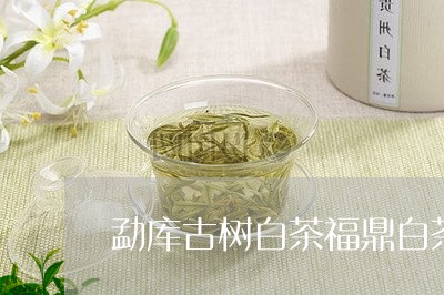 勐库古树白茶福鼎白茶/2023092202826