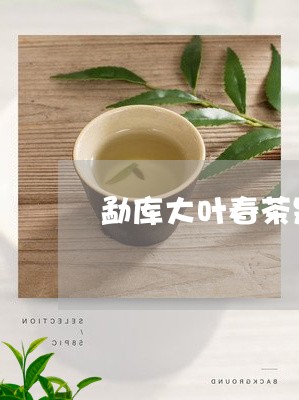 勐库大叶春茶是什么茶普洱味道难闻/2023060392705