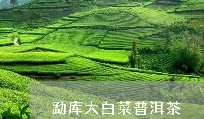 勐库大白菜普洱茶/2023112668279