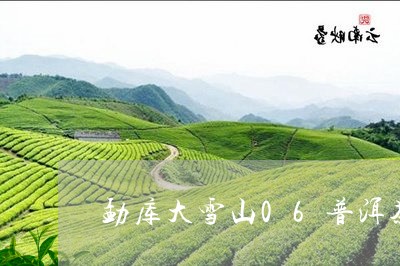 勐库大雪山06普洱茶/2023092738494